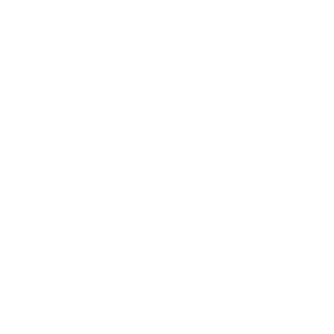 logo do it in paris