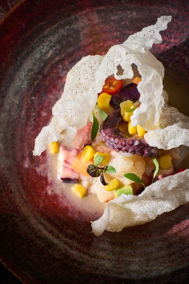 octopus plate at anahi paris