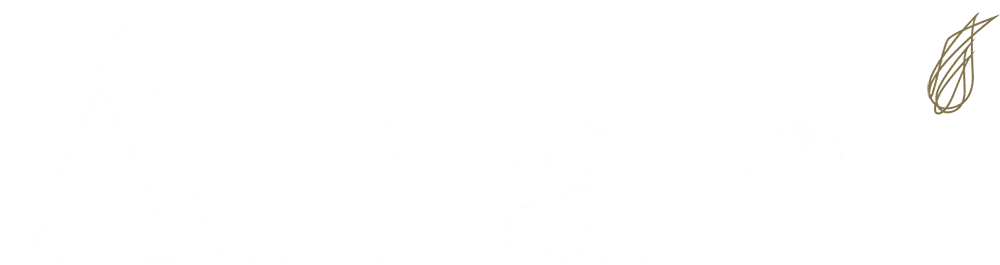logo anahi